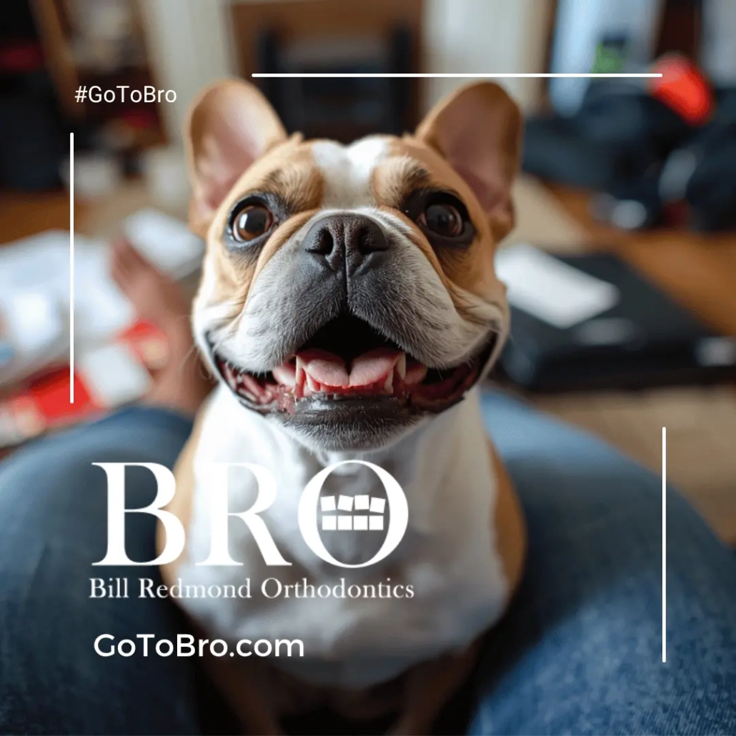Dogs love retainers - Retainer Replacement Cost - Bill Redmond Orthodontics